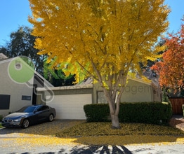 Building Photo - 2692 Bradford Way