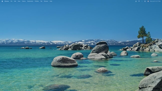 Building Photo - 1564 Hemlock Ave