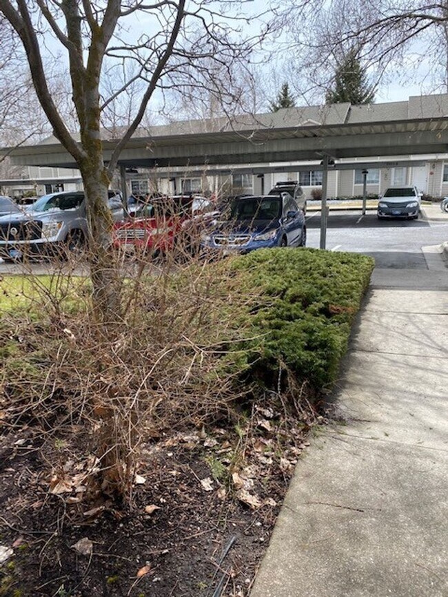 Building Photo - 2 Bed 1.5 Bath Townhouse in Missoula