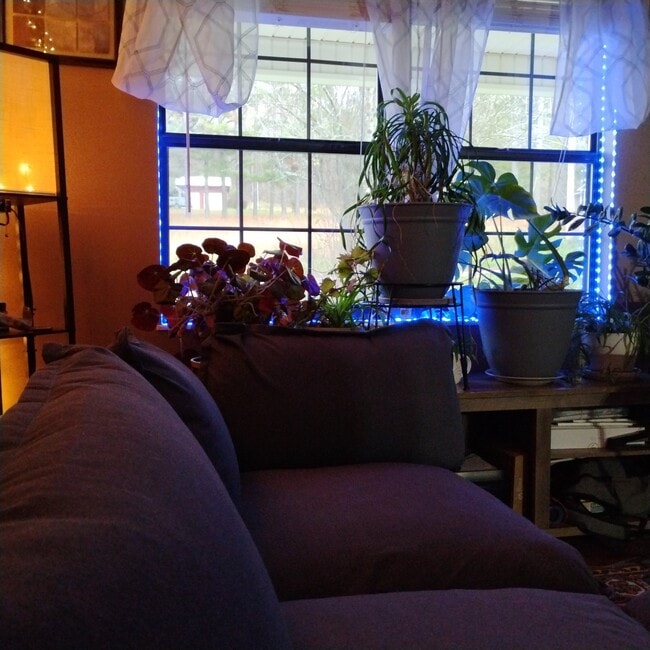 Building Photo - 116 Hidden Valley Dr