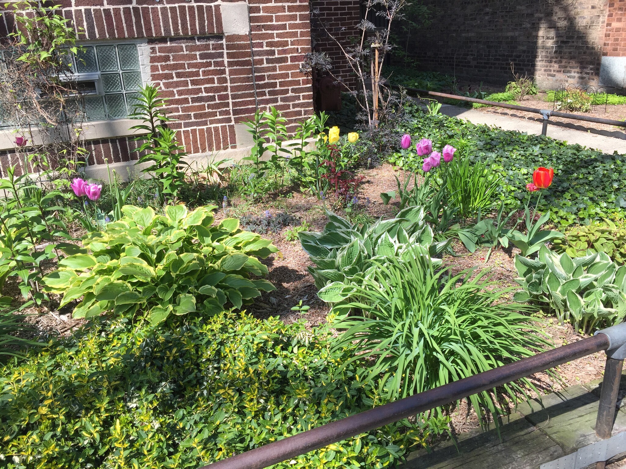 Building Photo - 1432 W Jonquil Ter