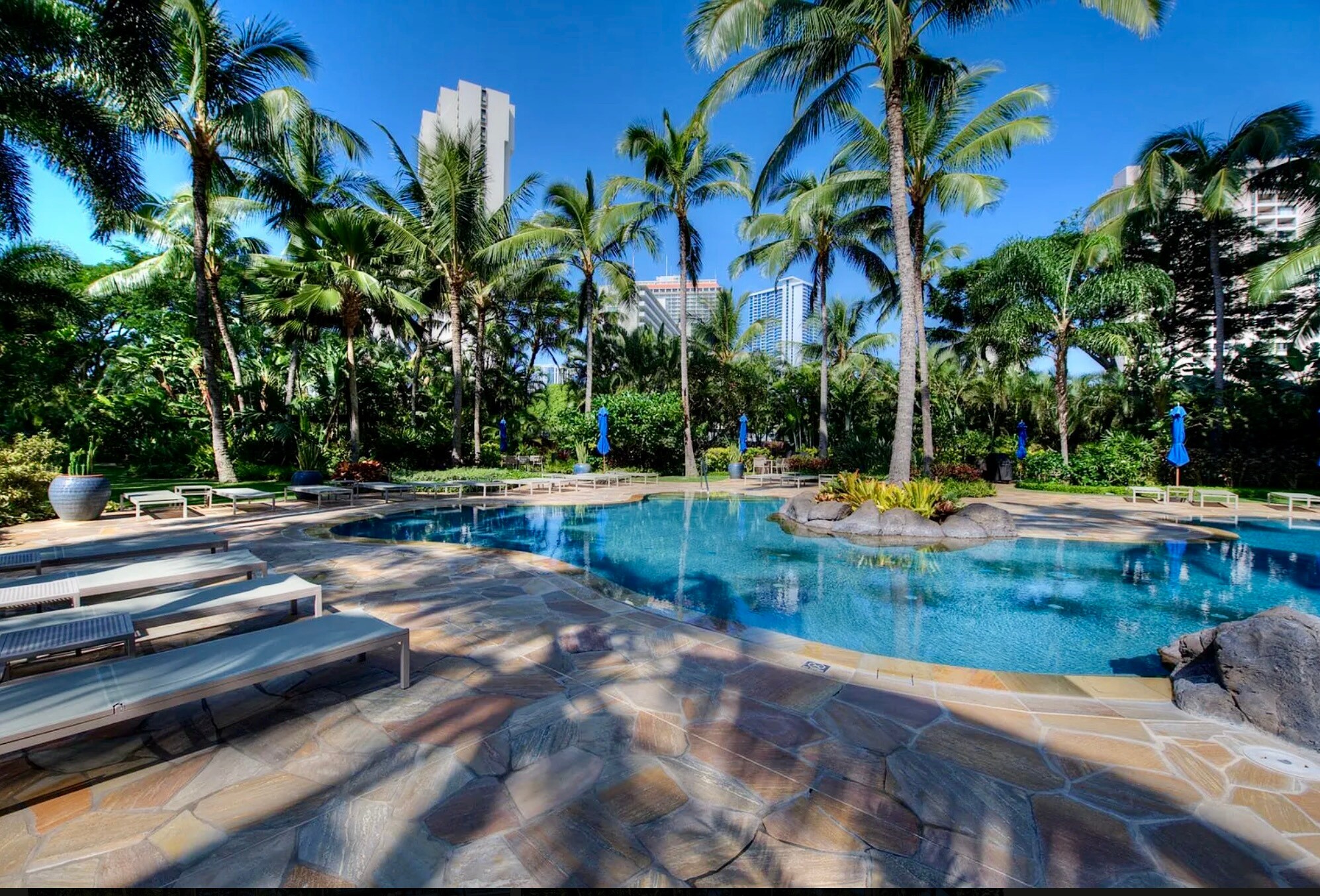 Lap pool and spa - 1551 Ala Wai Blvd
