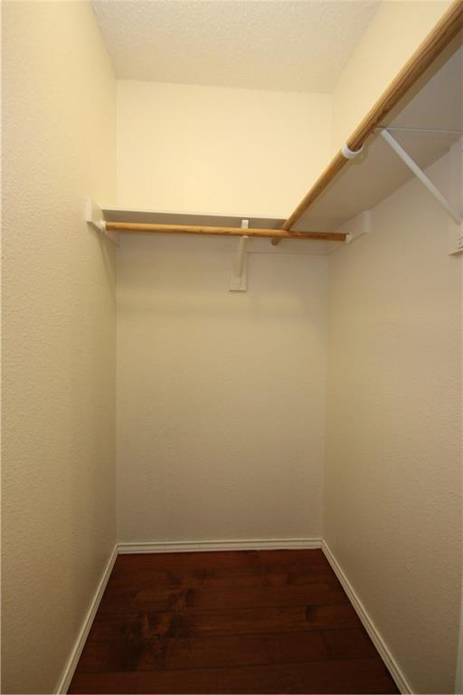 Building Photo - 3205 Blazing Star Trail