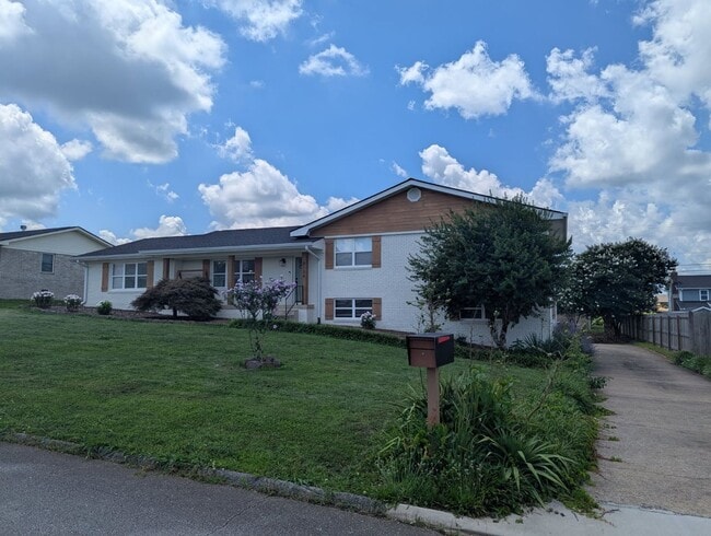 Building Photo - NICE SPACIOUS House in Holly Hills