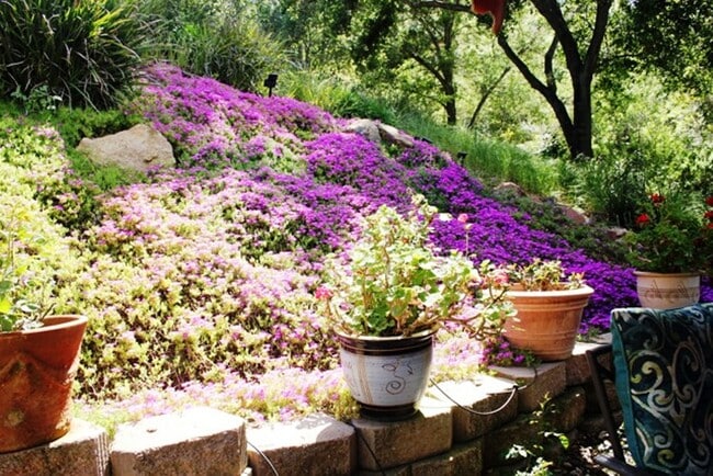 Building Photo - 1879 Fox Bridge Ct