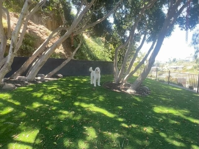 Building Photo - 801 Torrance St