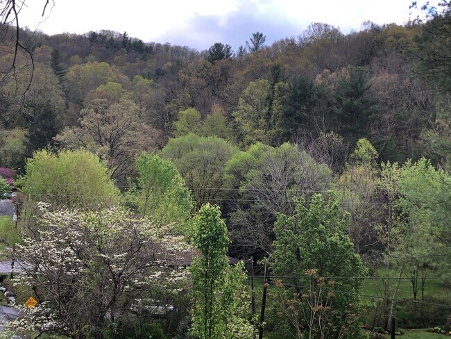 Quiet Serene Surroundings! - 56 Webb Cove Rd