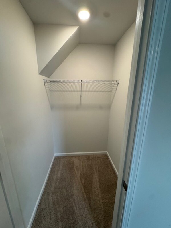 Building Photo - 204 Wild Strawberry Ln