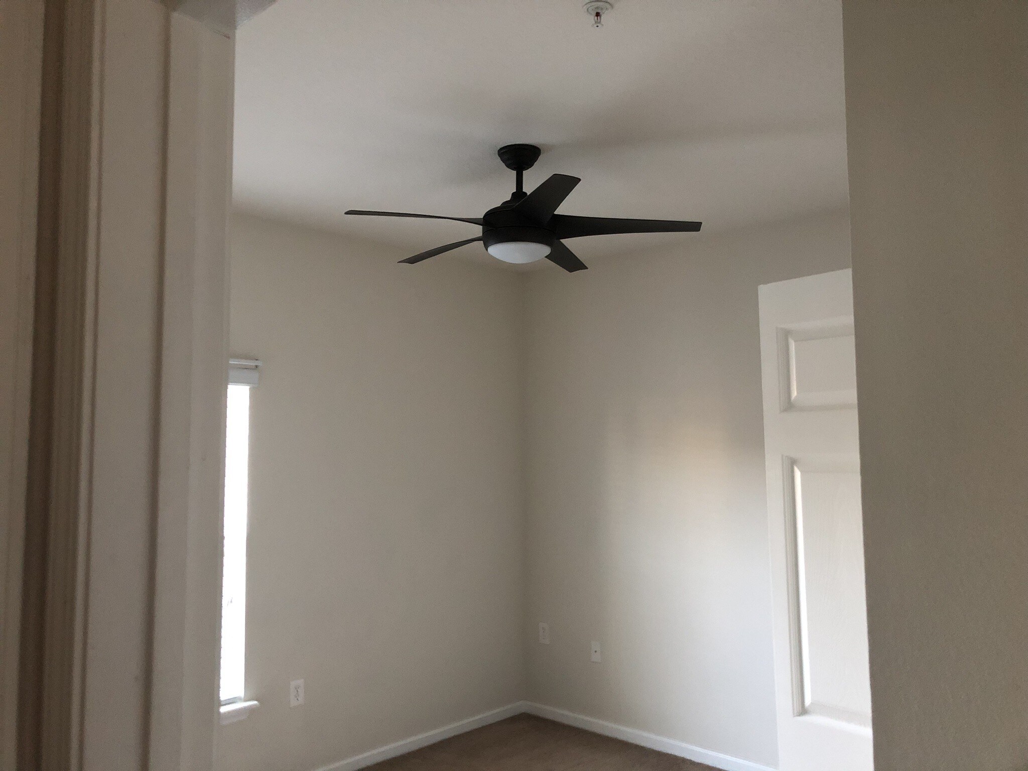 Building Photo - 4917 Key Lime Dr