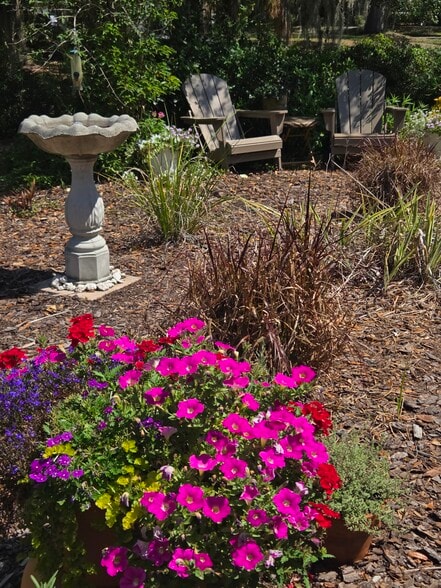 Garden setting - 416 N Summerlin Ave