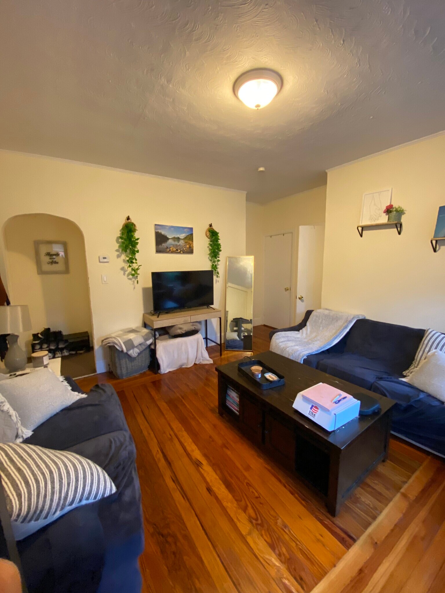 Living room - 44 Russell Rd