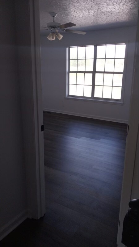 Building Photo - 317 Bailey Rd