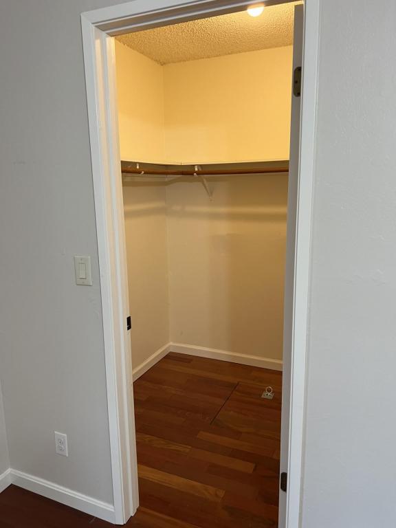 Building Photo - 317 Curie Dr