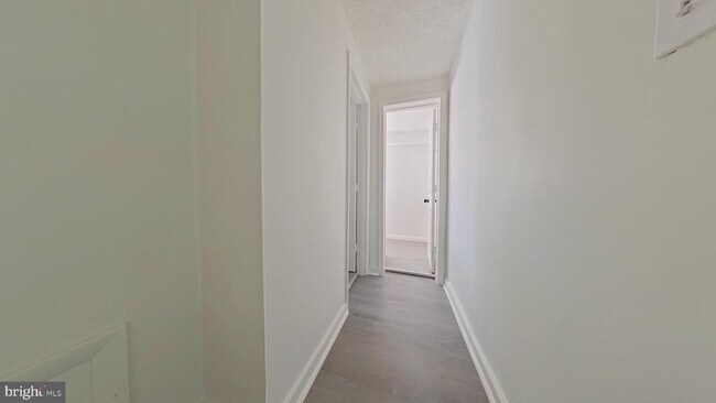 Building Photo - 548 S Loudoun St