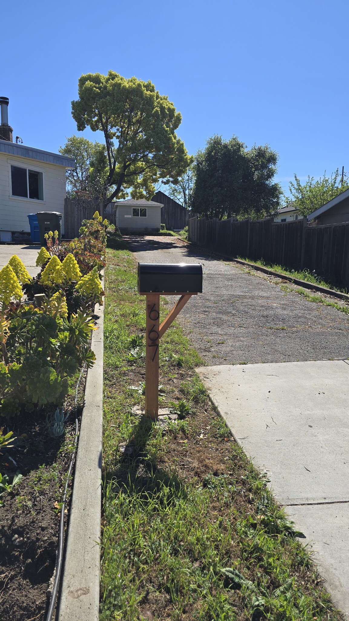 Building Photo - 667 Plum St