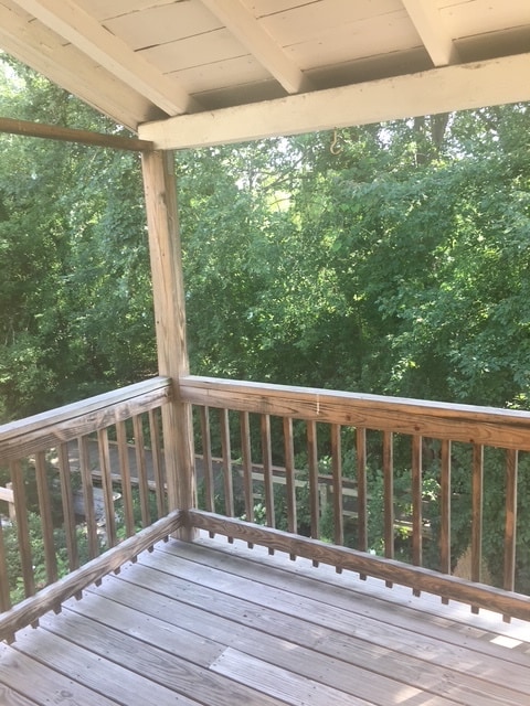 Deck view of Charles River Bike path - 204 Pleasant St