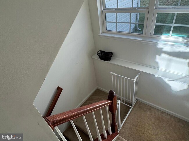 Building Photo - 3238 Fledgling Cir