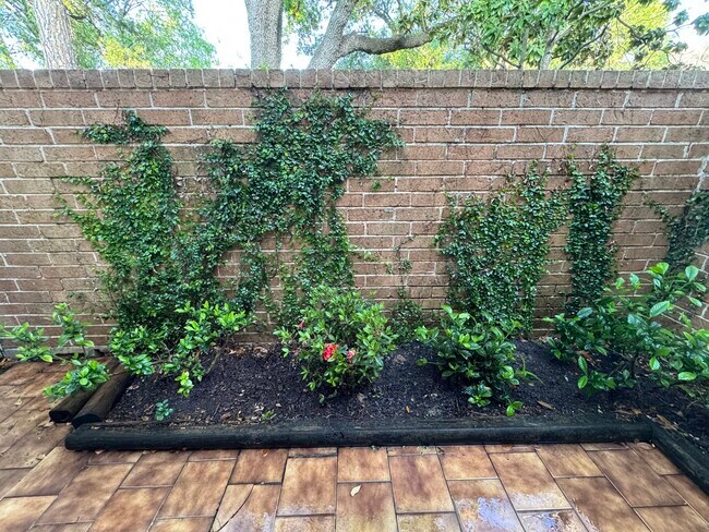 Building Photo - 1970 Augusta Dr