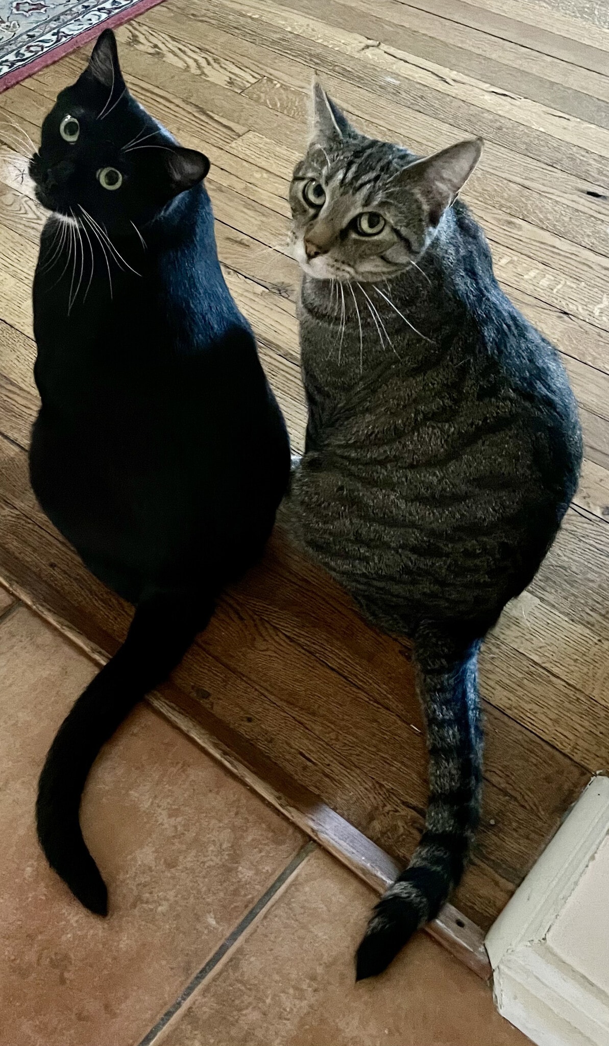 Building Photo - 2879 S Filmore St