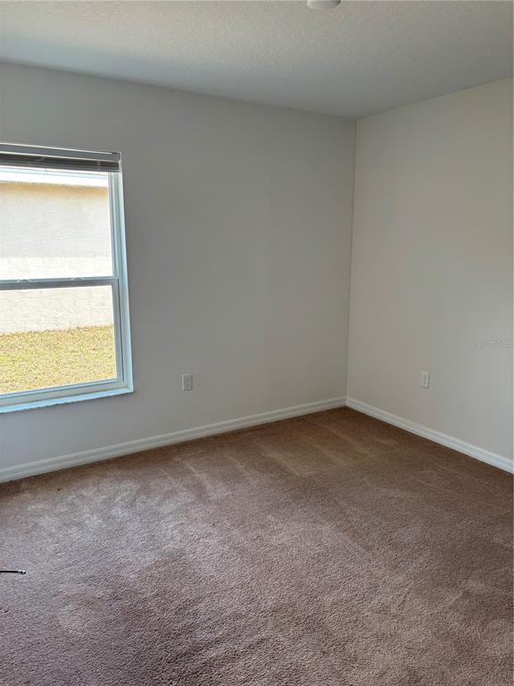 Building Photo - 6 Wood Amber Ln