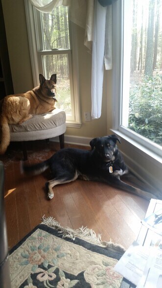 Building Photo - 4537 Kerley Rd