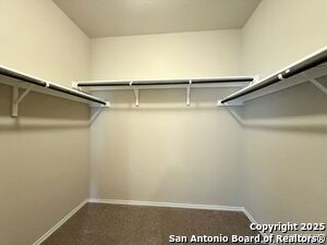 Building Photo - 10534 Green Rock Dr