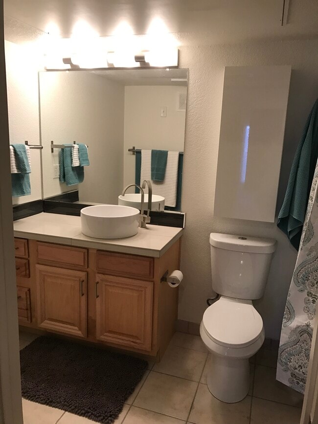 Primary Bath Sink - 5201 South Fox Street