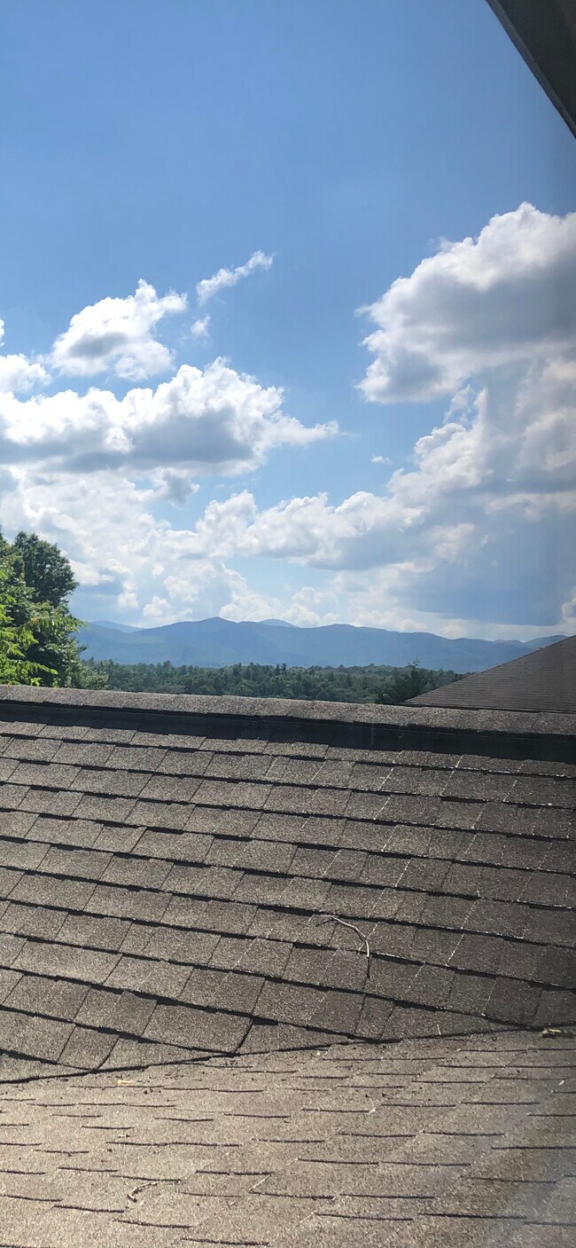 view from BR2 / also can see from BR1 - 24 Douglas Fir Ave