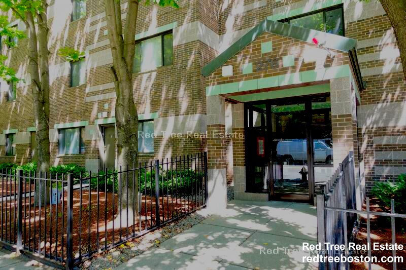Building Photo - 276 Chestnut Hill Ave
