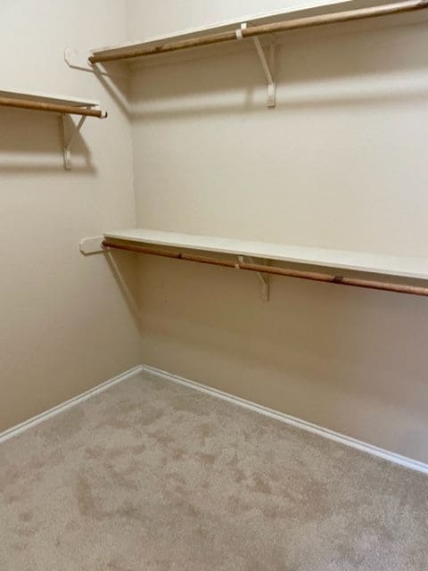 Building Photo - 914 Whitewing Ln