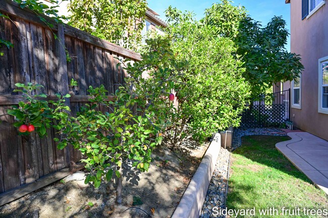 Building Photo - 1167 Vista Pointe Blvd