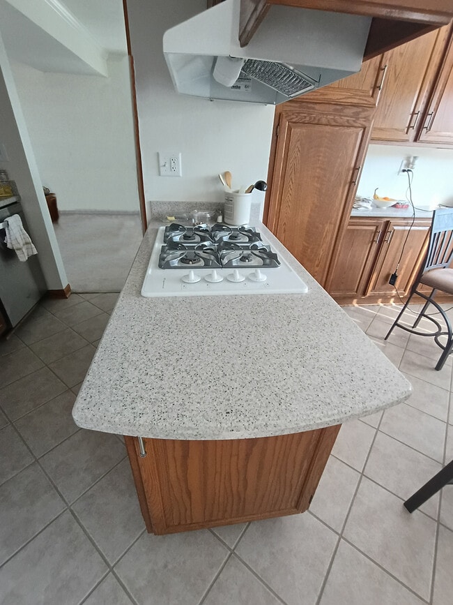 Building Photo - 1367 S Elizabeth St