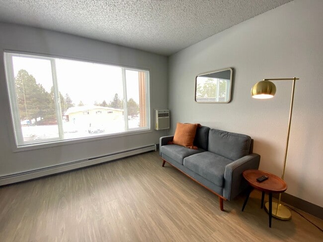 Primary Photo - FURNISHED, 1 bed 1 bath in newly renovated...