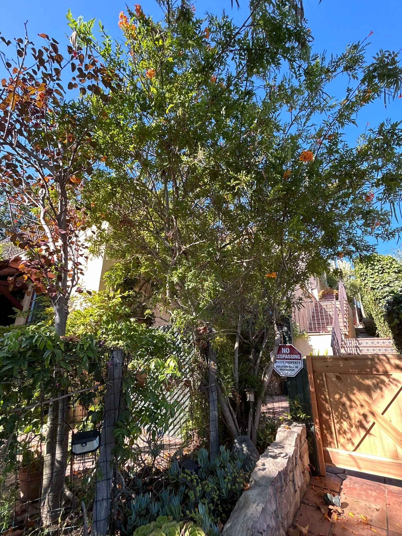 Building Photo - 212 3rd Ave