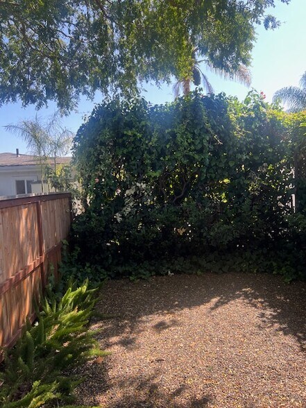 Backyard - 1821 Chino St