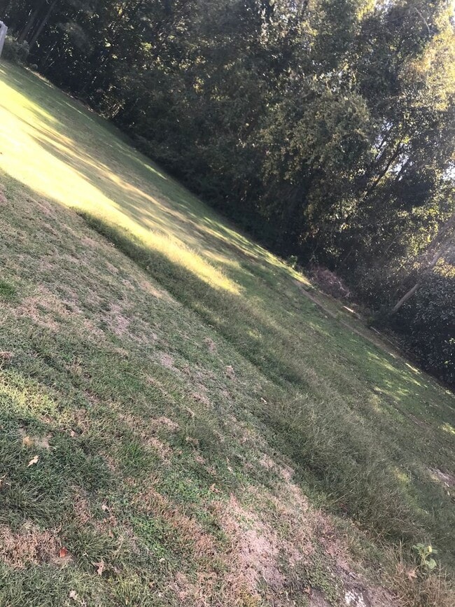 Building Photo - Nice 2 bedroom 2.5 bath town home in quiet neighborhood in town