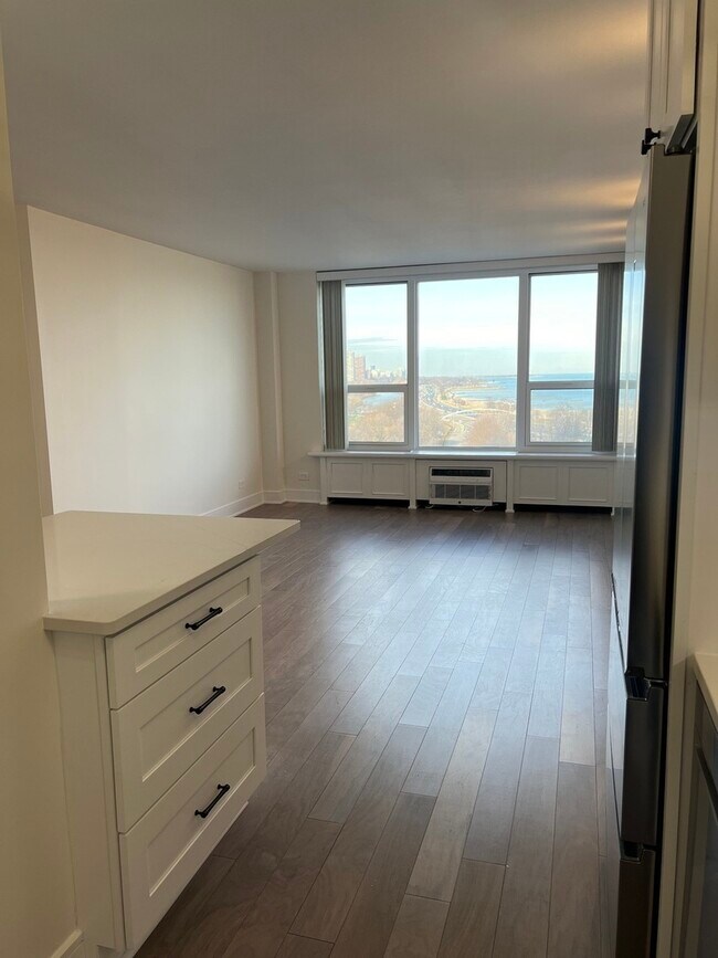 Building Photo - 1550 N Lake Shore Dr