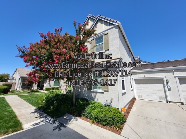 Building Photo - 3211 Tice Creek Way