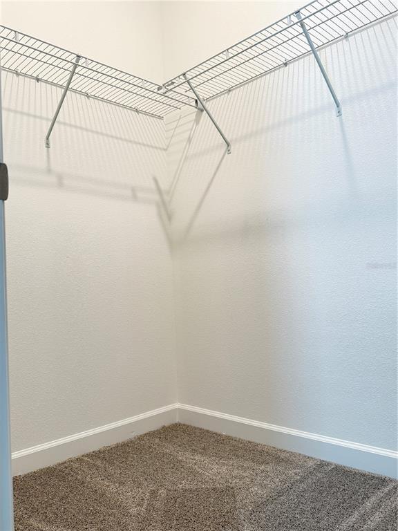 Building Photo - 7117 Dilly Lake Ave