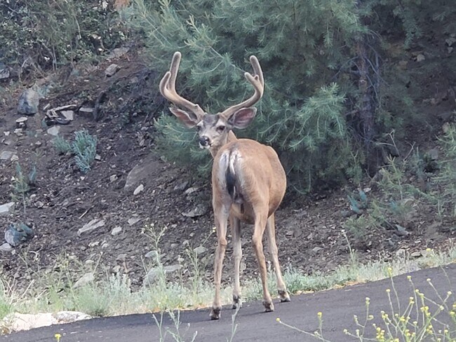 Building Photo - 15000 Geneva Ct