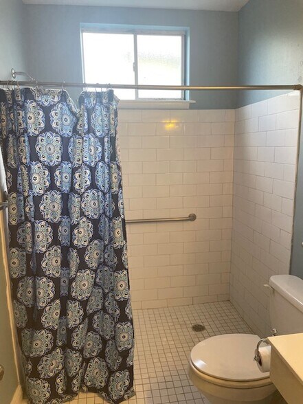 Downstairs bathroom - 8226 Cohn St