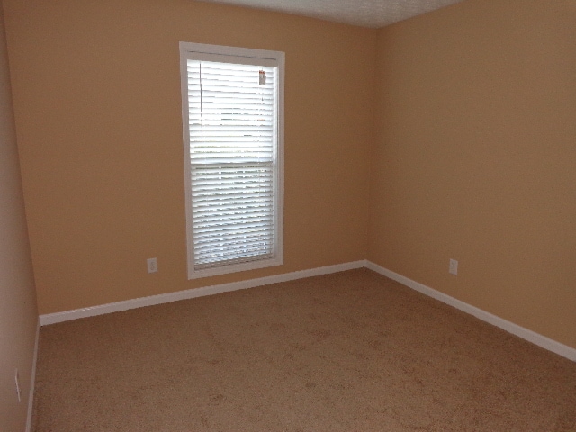 Building Photo - 725 Windsor Brook Ln