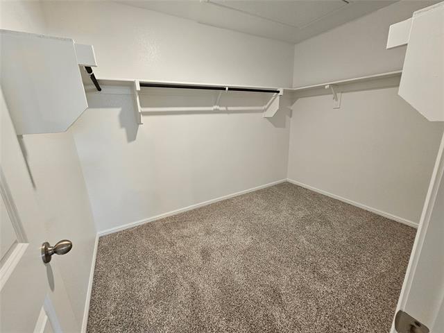 Building Photo - 1228 Tierra Blanca Dr