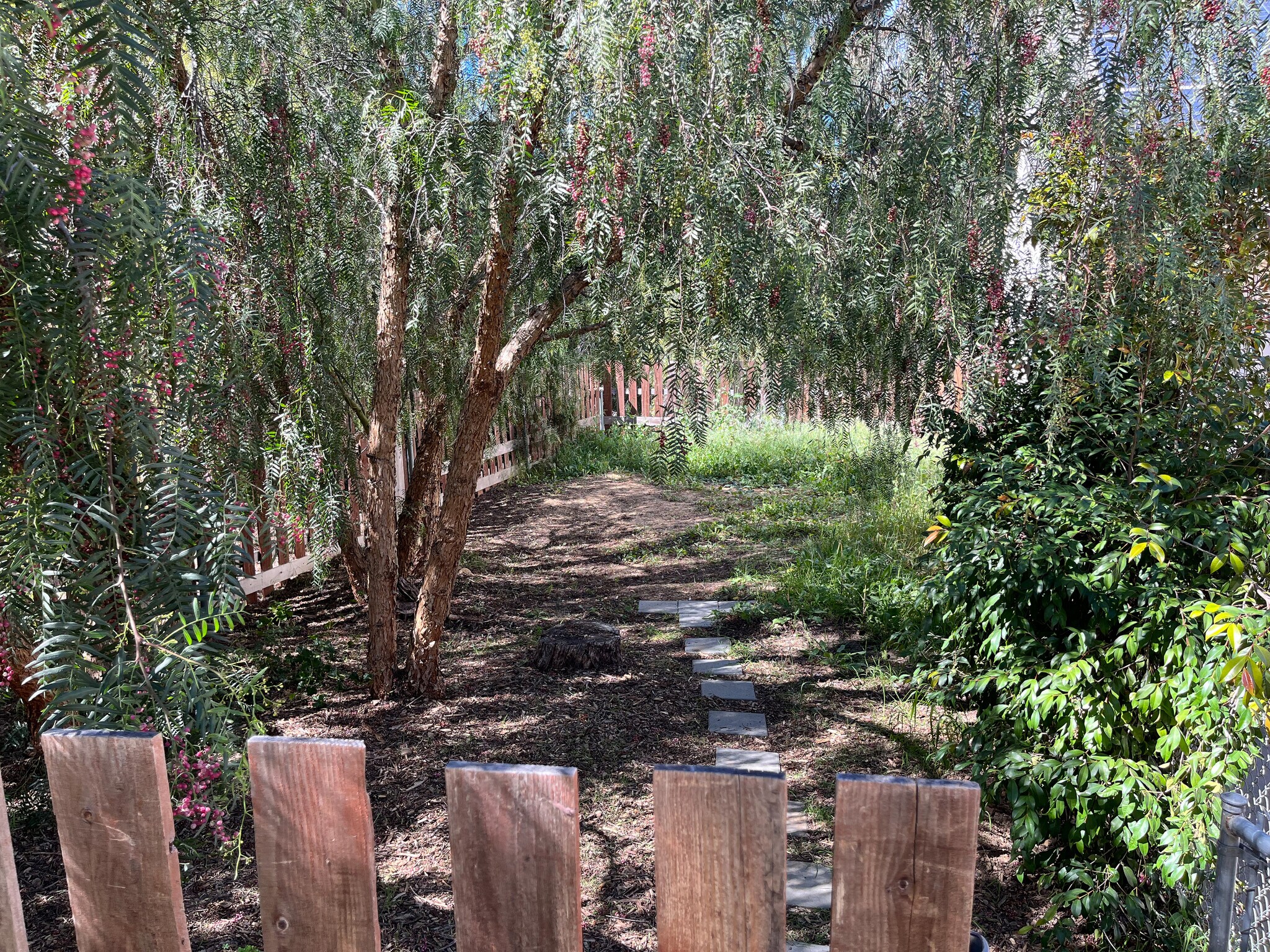 Building Photo - 4477 Meadowlark Ln