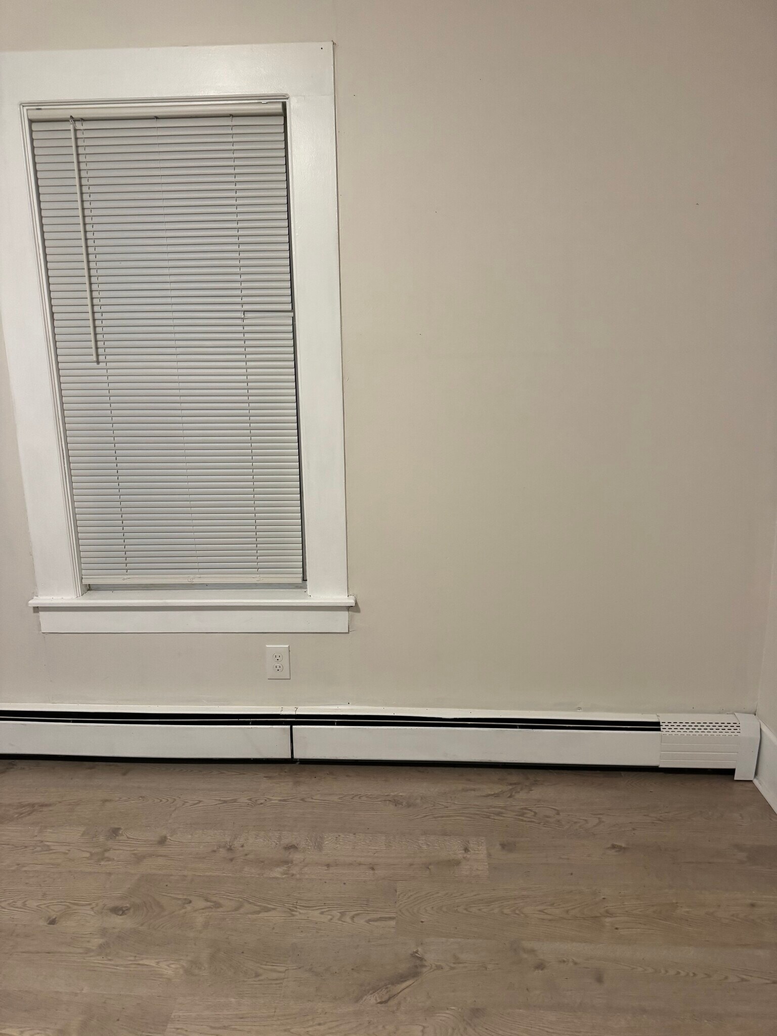 Building Photo - 24 Margaret St