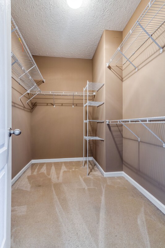 Building Photo - 1800 Woodland Pointe Dr