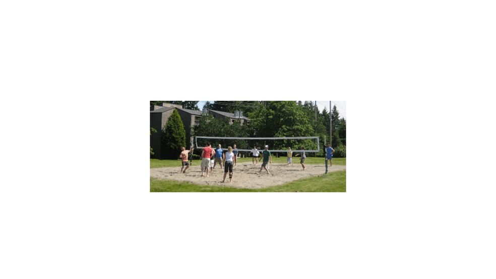 Volleyball court - 6479 137th Ave NE