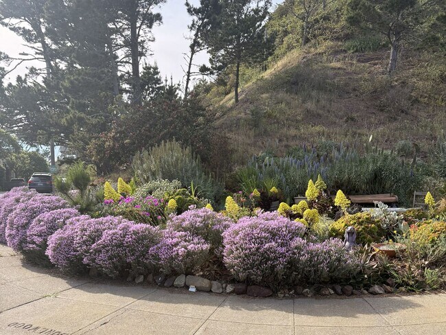 Building Photo - 3BR/2BA | Unobstructed Panoramic Views | Live Above the Fog | Intentional Living