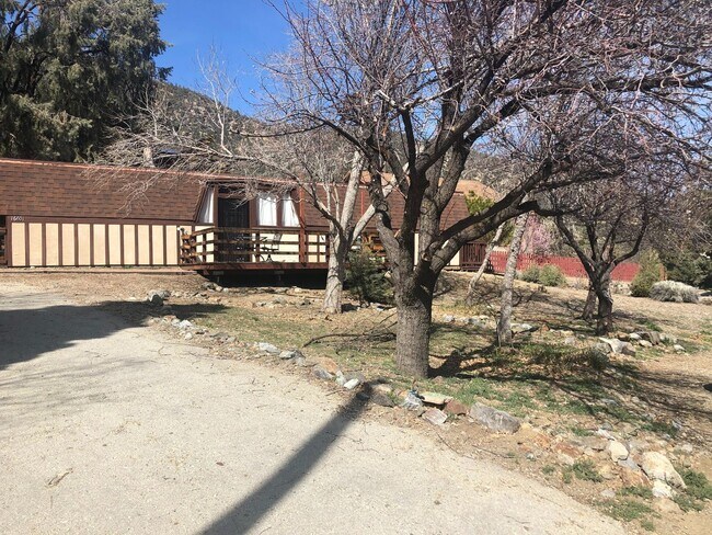 Primary Photo - QUAINT CABIN IN A GREAT LOCATION!!