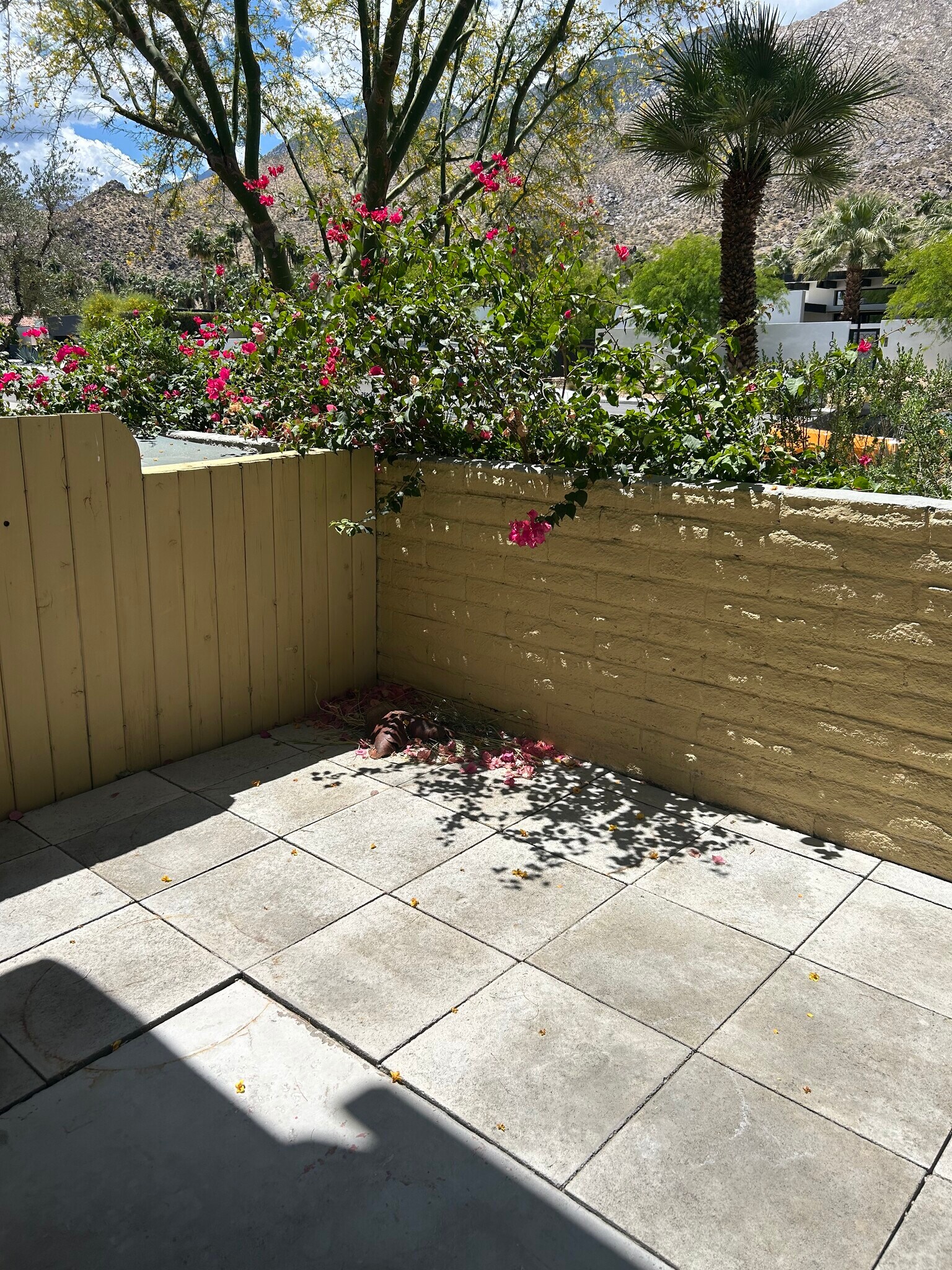 Private yard ready for your special touch - 1950 S Palm Canyon Dr